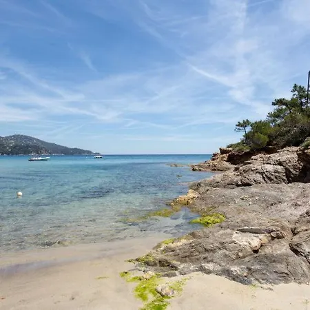 Mazet - Domaine De La Pinede Pramousquier - 펜션 *